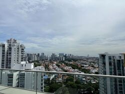 Amber Park (D15), Condominium #559206441
